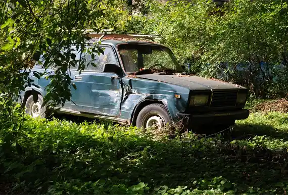 Old damaged car sitting unused in overgrown area, ready to be sold for cash. At AuttoCash, we buy junk cars in any condition, offering fast cash, free towing, and an easy process to help you remove unwanted vehicles quickly.